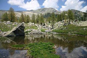 Parchi naturali