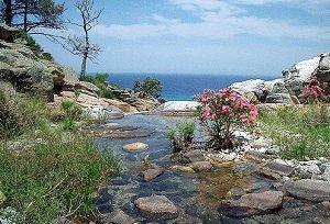 Ikaria