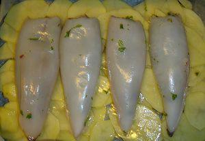 Calamari ripieni